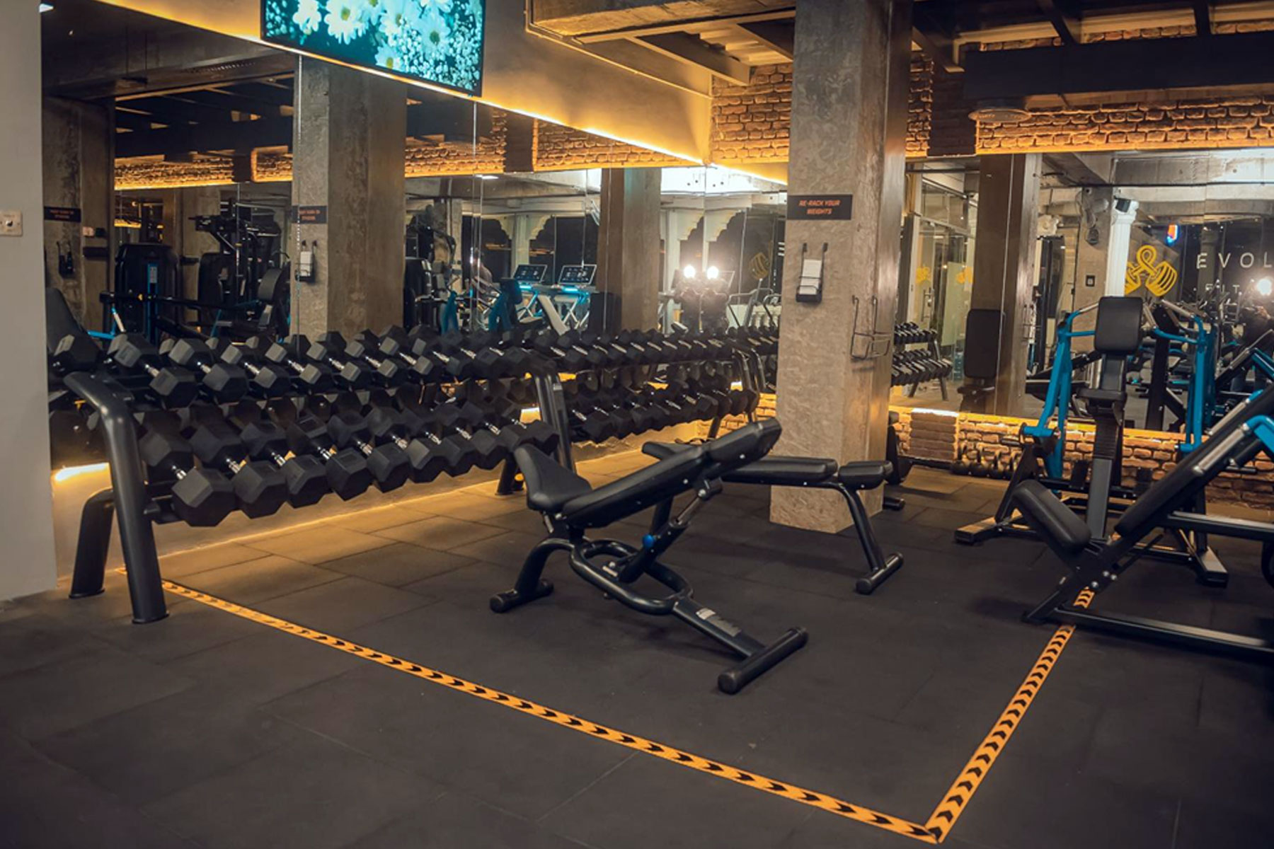 evolve fitness project
